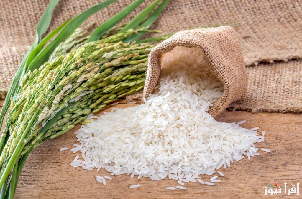 يا خرابي على الأسعار.. سعر طن الأرز الشعير اليوم الثلاثاء 18 فبراير 2025 في الأسواق المصرية