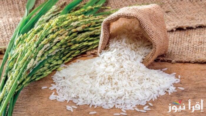 طن البلدي بقي بـ16 الف.. سعر طن الأرز الشعير اليوم الخميس 13 فبراير 2025 جميع الأنواع في الأسواق || الحبة العريضة والرفيعة