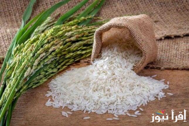 “تحرك جديد” سعر طن الأرز الشعير اليوم الثلاثاء 18 فبراير 2025 داخل الأسواق المحلية في مصر