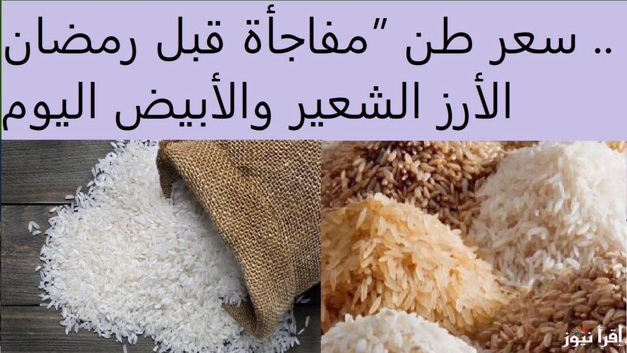 مُفاجأة رمضان.. سعر طن الأرز الشعير اليوم الاثنين 24 فبراير 2025 في الأسواق المحلية للتجزئة والجملة