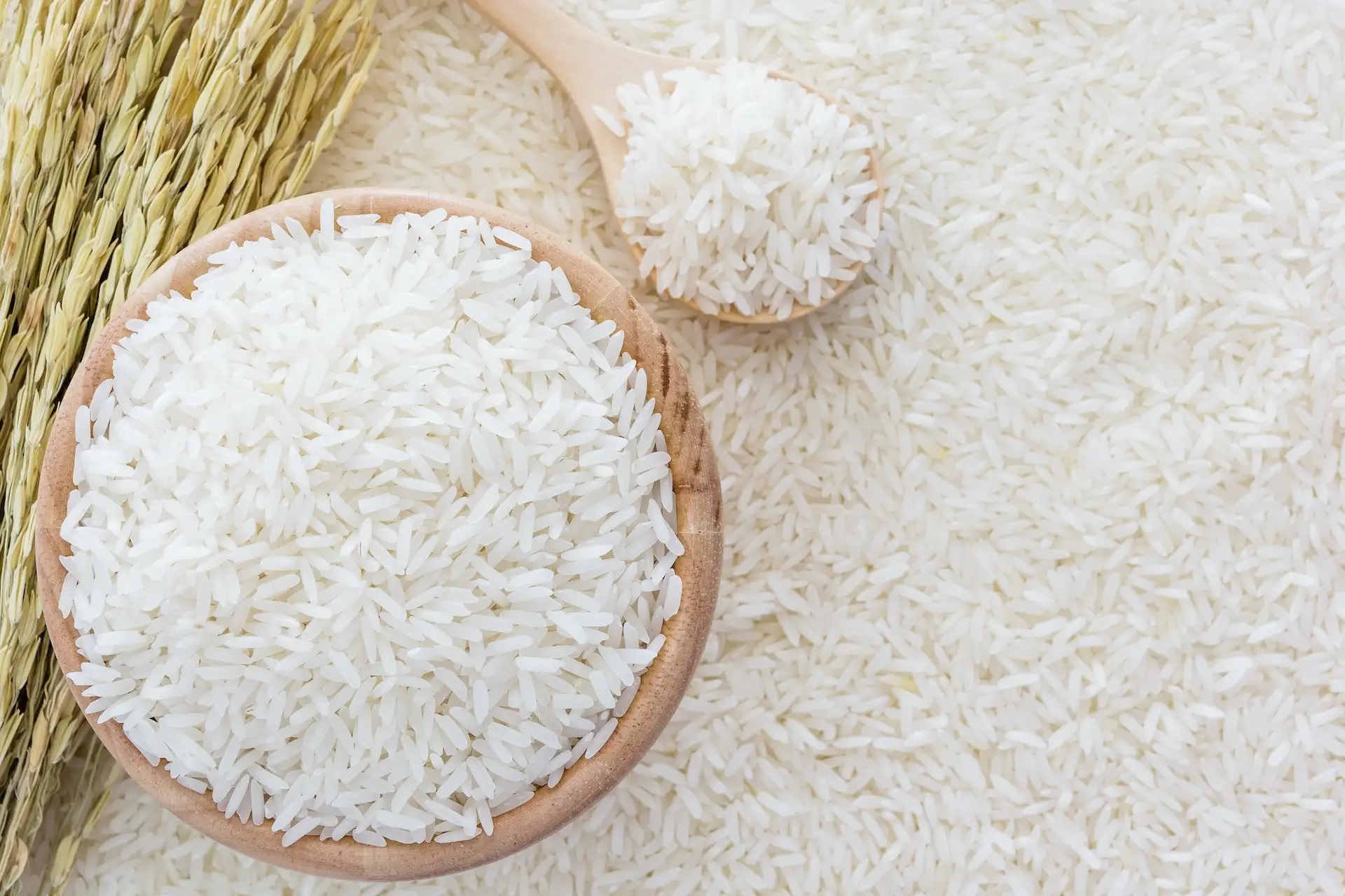 وصل كام انهاردة؟ .. سعر طن الأرز الشعير اليوم الخميس 6 فبراير 2025 داخل الأسواق المحلية
