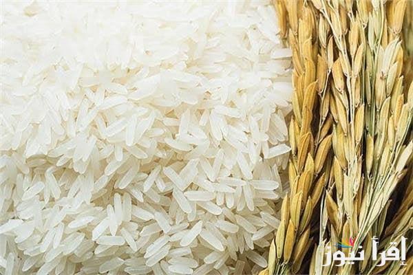 “سجل كام اليوم” سعر طن الأرز الشعير اليوم الخميس 27 فبراير 2025 والأرز الأبيض داخل الأسواق