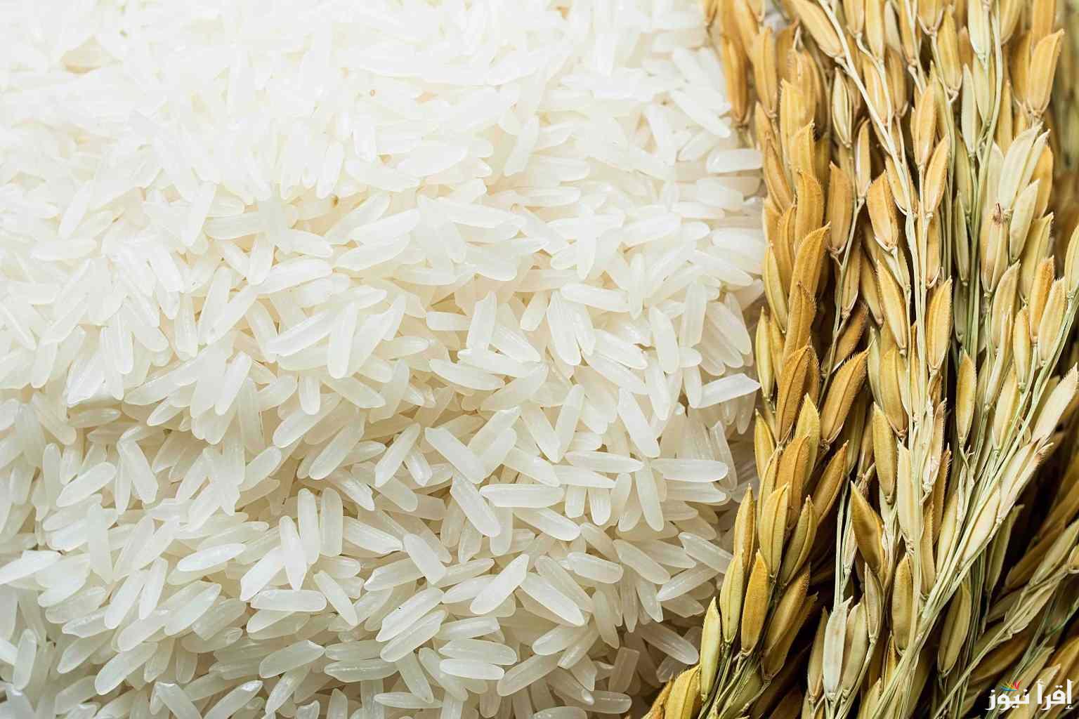 كم سعر طن الأرز الشعير اليوم الاثنين 24 فبراير 2025 داخل الأسواق المصرية وأسعار السلع التموينية