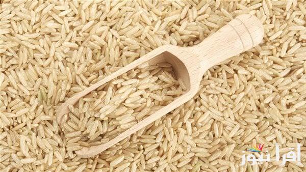 عريض ورفيع الحبة الآن .. سعر طن الأرز الشعير اليوم الخميس 27 فبراير 2025 في الأسواق المحلية المصرية