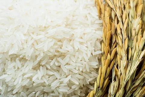 اشتري قبل رمضان .. سعر طن الأرز الشعير اليوم الأحد 9 فبراير 2025 داخل الأسواق المحلية