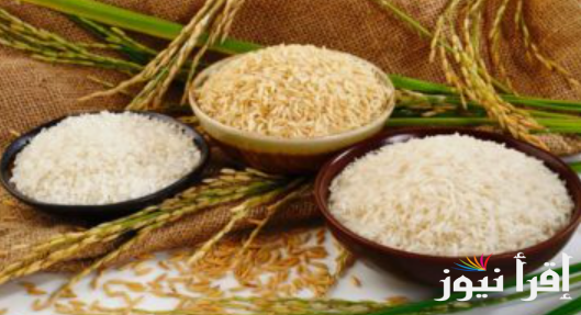رفيع وعريض الحبة .. سعر طن الأرز الشعير اليوم الأربعاء 12 فبراير 2025 والأبيض في الأسواق المحلية
