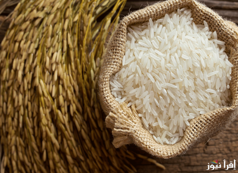 للتاجر والمستهلك|| سعر طن الأرز الشعير اليوم الثلاثاء 18 فبراير 2025 والسلع الغذائية الأخرى في السوق المحلي