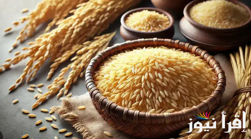 “اشتري يا ست البيت” سعر طن الأرز الشعير اليوم الثلاثاء 25 فبراير 2025 في جميع الأسواق المصرية