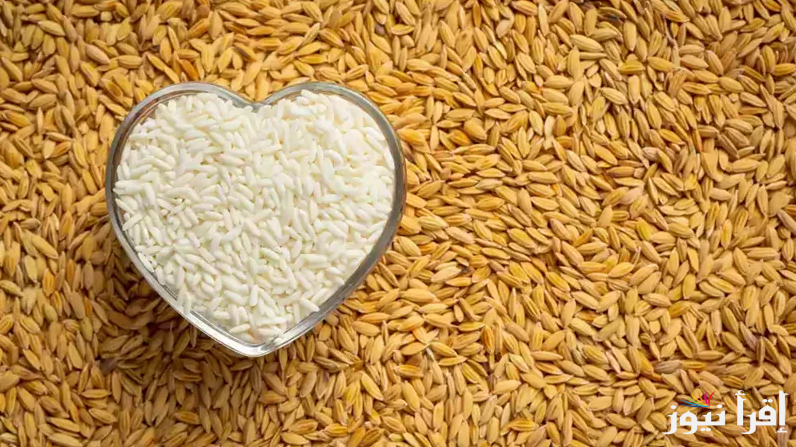 استقرار واضح في سعر طن الأرز الشعير اليوم الخميس 20 فبراير 2025 رفيع وعريض الحبة في الأسواق