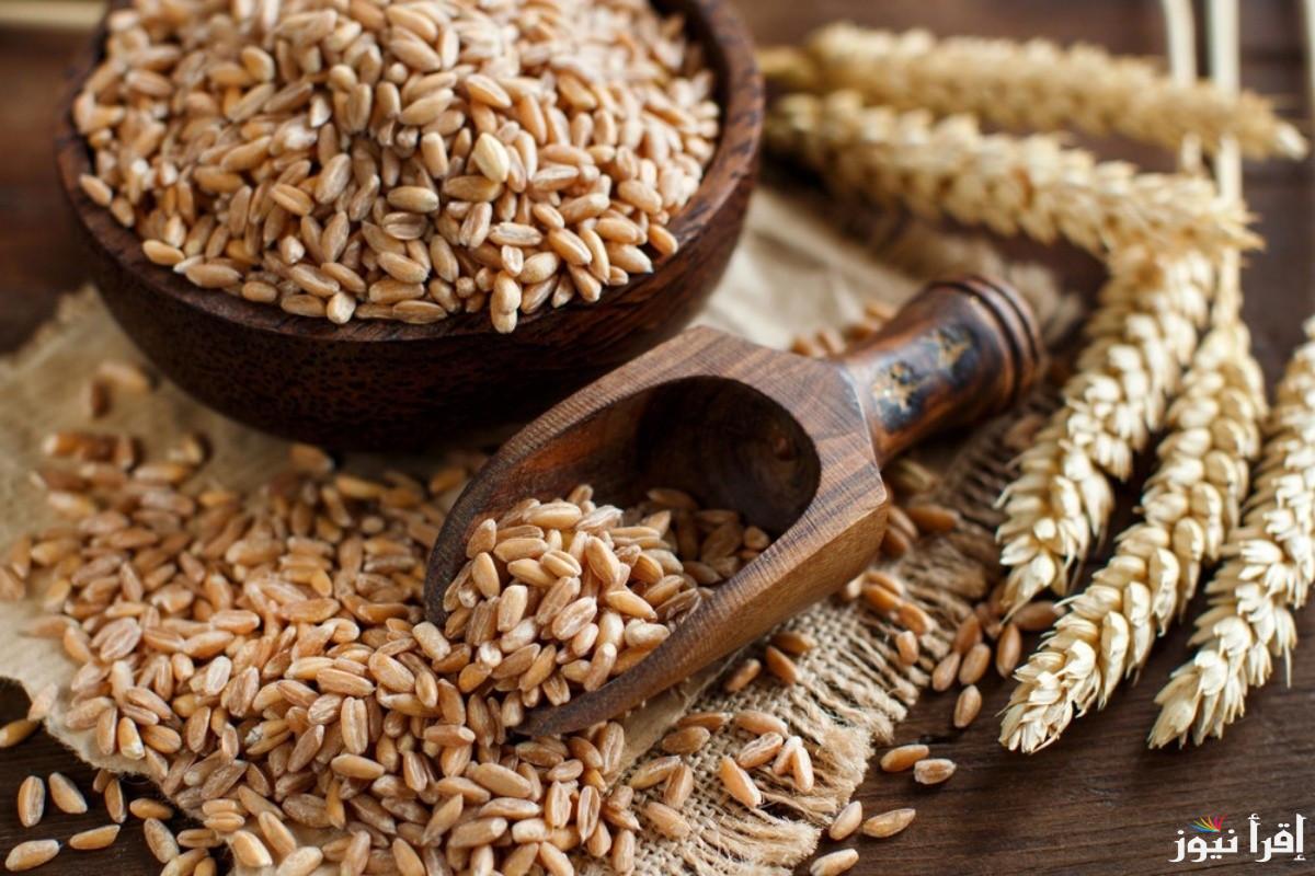 عريض الحبة بــ17ج .. سعر طن الأرز الشعير اليوم السبت 1 فبراير 2025 في الأسواق المحلية بمصر