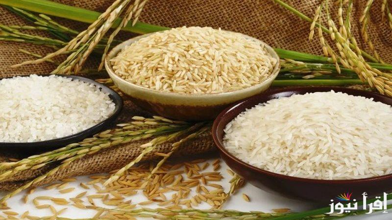 طن الحبة العريضة وصل كام ؟.. سعر طن الأرز الشعير اليوم 2025 في الاسواق المصرية