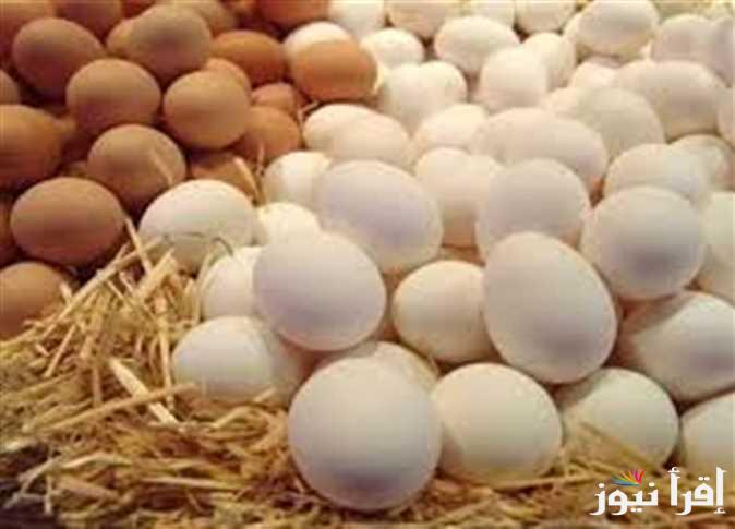 الراعي الرسمي لسحور رمضان|| سعر كرتونة البيض اليوم للمستهلك الأحد 23 فبراير 2025 في الأسواق