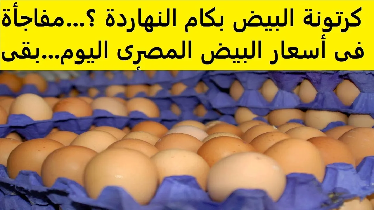 “اشتري للسحور” سعر كرتونه البيض اليوم للمستهلك الجمعة 14 فبراير 2025 وببورصة الدواجن