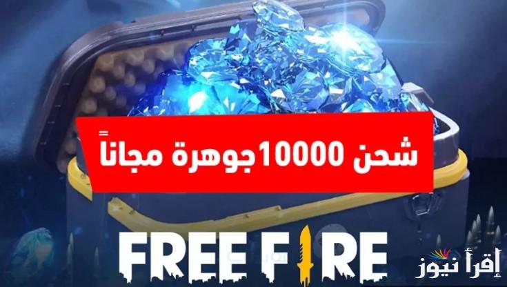 رصيد ما لانهاية من الجواهر .. شحن فري فاير 2025 Free Fire الطريقة الصحيحة بـID عبر موقع Shop2Game