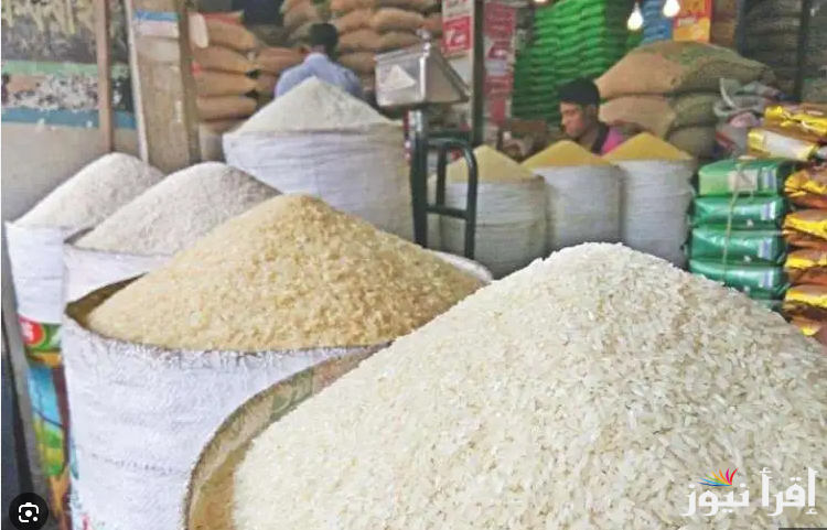 “الحق نفسك في الرخص”.. سعر طن الأرز الشعير اليوم الخميس 13 فبراير 2025 في الأسواق وللمستهلك