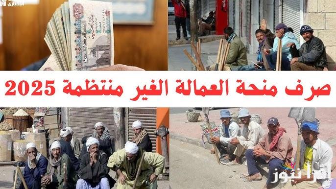 1000 جنية يا غلبان| صرف منحة العمالة الغير منتظمة 2025 بالزيادة الجديدة وطريقة التسجيل من موقع وزارة العمل