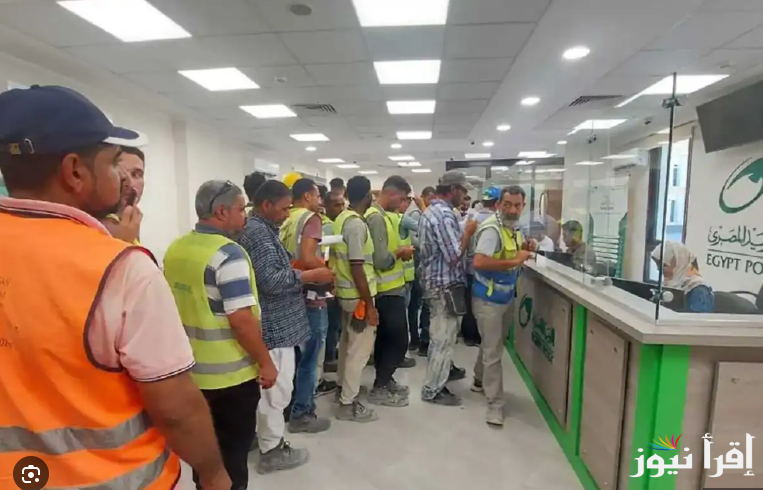 ” بالرقم القومي”..تسجيل العمالة الغير منتظمة منحة ال 1000 جنيه عبر موقع وزارة العمل المصرية manpower.gov.eg
