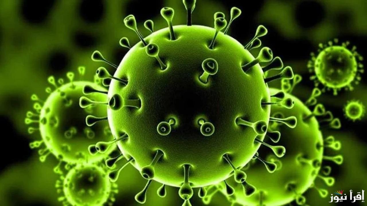 فيروس كورونا الجديد يثير القلق في الصين “الخفافيش” هل يهدد العالم بجائحة جديدة؟ الأعراض