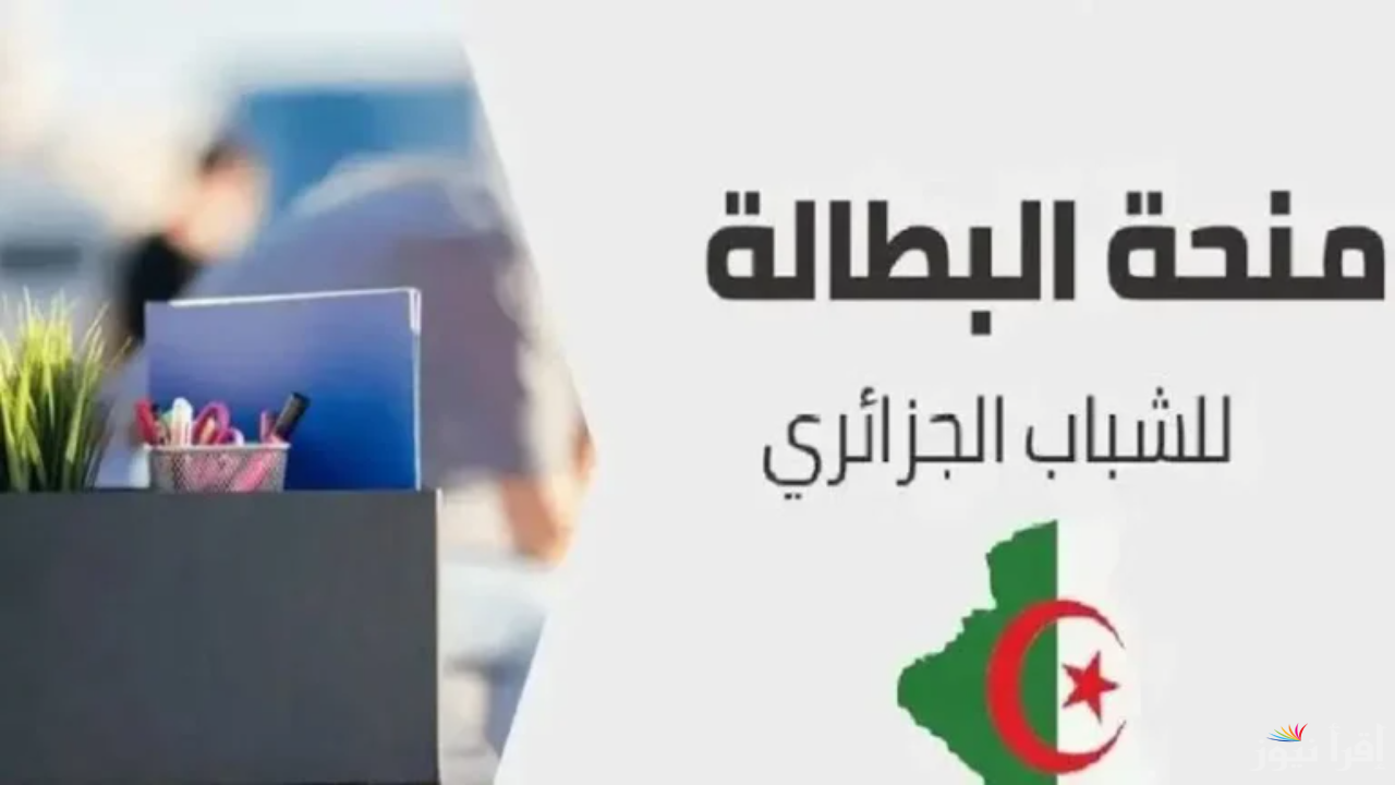 من هنا.. كيفية تجديد منحة البطالة 2025 عبر الموقع الالكتروني الرسمي anem.dz وأهم الشروط المطلوبة