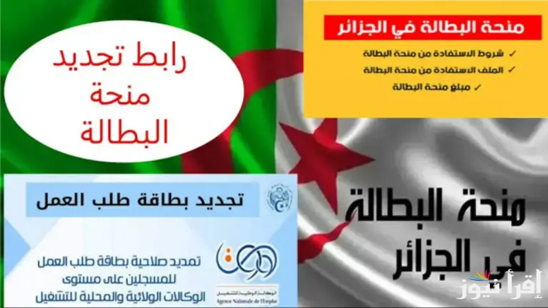 “minha.anem.dz” لينك تجديد منحة البطالة 2025 في الجزائر وشروط الحصول عليها الوكالة الوطنية للتشغيل