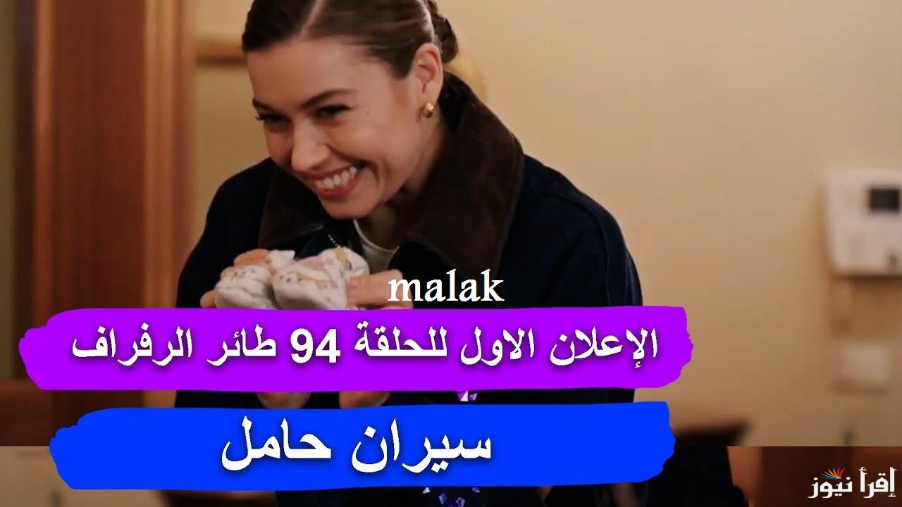 “الإعلان 1 حمل سيران” مسلسل طائر الرفراف 94 الموسم 3 على شاهد و قناة ستار تي في التركية