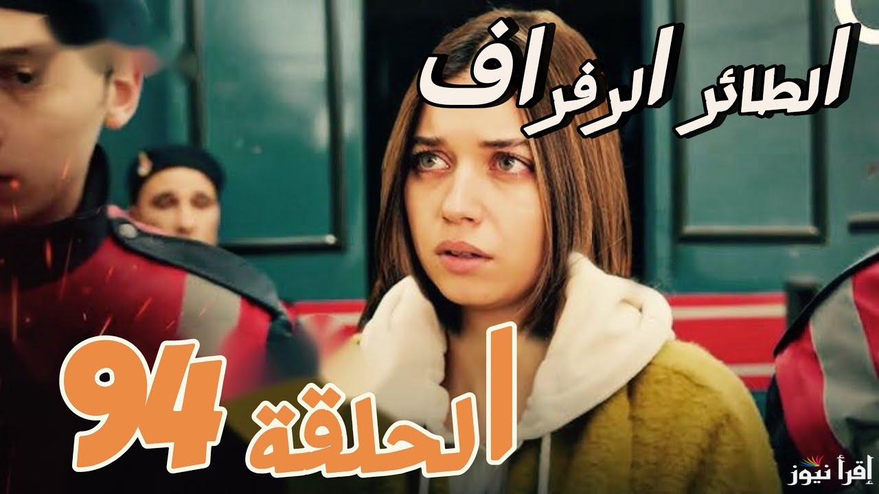 وفاة هاليس وحمل سيران .. مسلسل طائر الرفراف الحلقة 94 قصة عشق Yalı Çapkını احداث جديدة