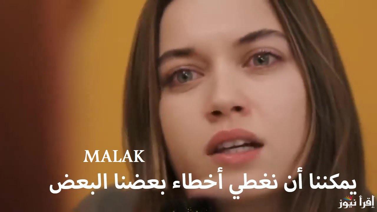 “حياة سيران في خطر” مسلسل طائر الرفراف الحلقة 95 الموسم 3 والموعد على جميع القنوات العارضة