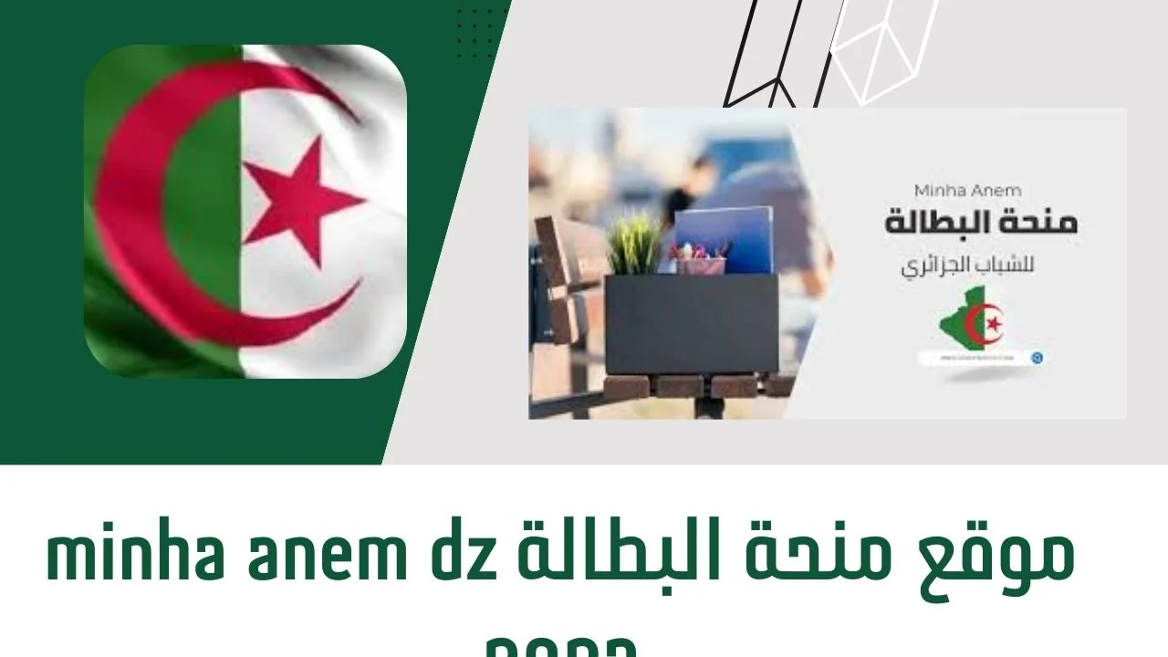 قدم عليها واحصل على الدعم.. رابط منحة البطالة 2025 في الجزائر والشروط والمستندات المطلوبة