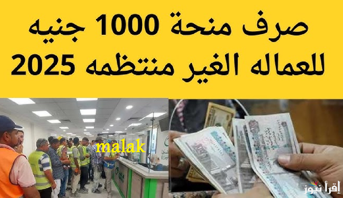 “1000 جنيه بالرقم القومي” منحة العمالة الغير منتظمة لشهر رمضان 2025 والاستعلام عبر موقع وزارة العمل المصرية