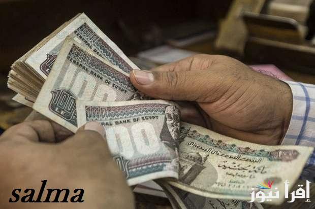 وزارة المالية تكشف حقيقة زيادة مرتبات شهر فبراير 2025 بنسبة 15% والموعد الرسمي للصرف قبل رمضان