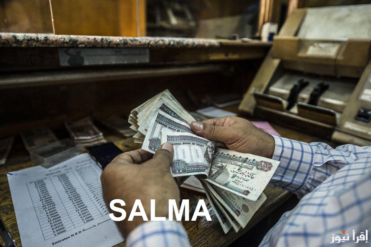 “بزيادة 15%” المالية تكشف عن حقيقة الزيادة وموعد صرف مرتبات شهر فبراير 2025