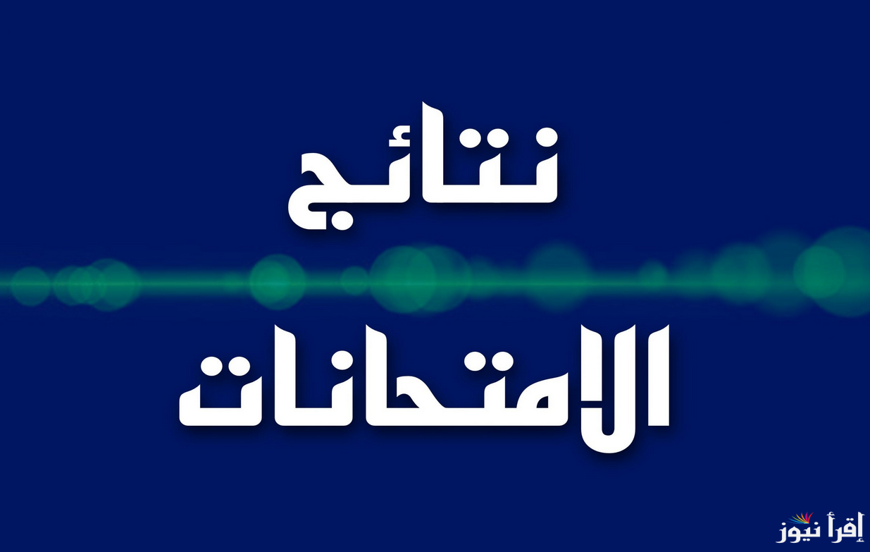 موقع نتائجنا نتائج السادس الابتدائي 2025 العراق pdf رابط فعــال nataegna.net كشوف الناجحين في صلاح الدين والكرخ