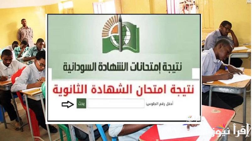 بجميع الولايات.. رابط الحصول علي نتيجة الشهادة السودانية 2025 بالاسم ورقم الجلوس عبر www.mohe.gov.sd فور اعتمادها