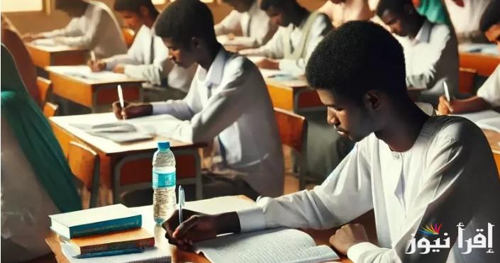 رابط استخراج نتائج الشهادة السودانية 2025 بالاسم ورقم الجلوس فور ظهورها عبر موقع وزراه التربية والتعليم