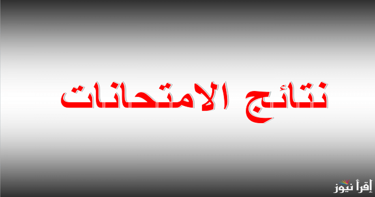 اعرف نتيجتك .. نتيجة الشهادة الإعدادية محافظة المنيا 2025 برقم الجلوس وخطوات الاستعلام عنها عبر موقع نتيجتك