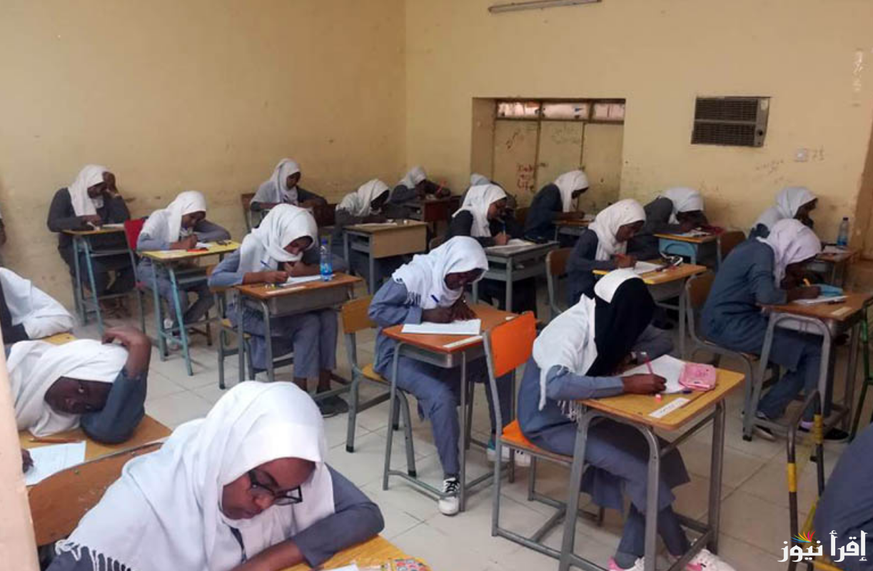 من النت رابط استخراج نتيجة الشهادة السودانية 2025 ولاية الخرطوم وجميع الولايات بالسودان mohe.gov.sd