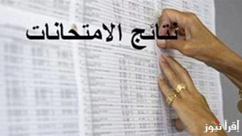 الآن… استعلام نتيجة الصف الثالث الابتدائي بالاسم ورقم الجلوس 2025 من خلال eduserv.cairo.gov.eg