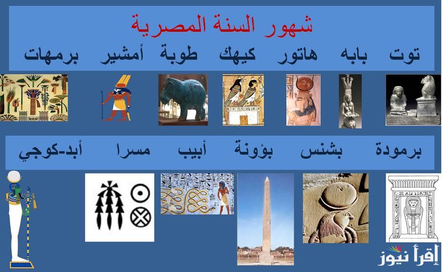 مبلتيش عرقوبة .. ورقة نتيجة اليوم النهارده كام طوبه 2025 في التقويم القبطي مقابل الميلادي