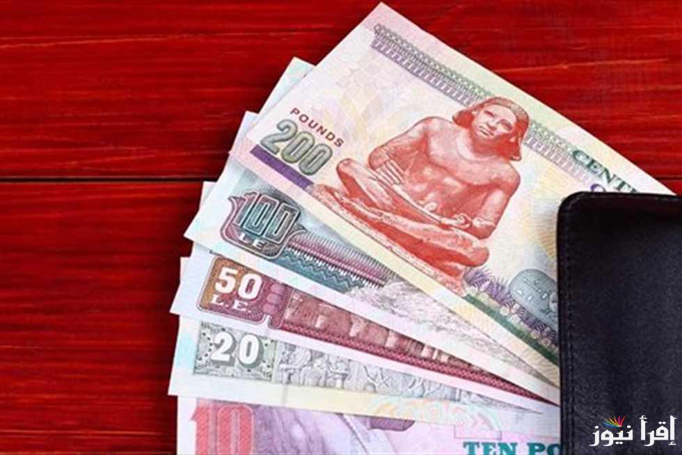 “منحة 1000 جنيه” وزارة العمل تستعد لصرف منحة رمضان للعمالة غير المنتظمة 2025 والفئات المستحقة للمنحة