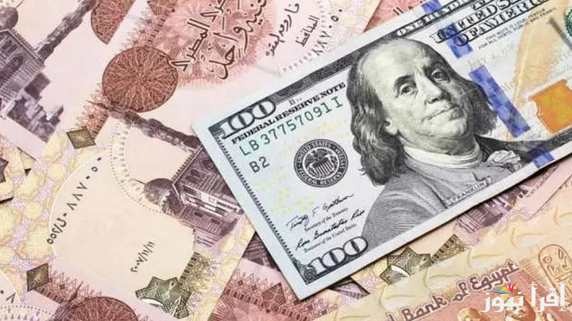 “الأمريكي وصل كام؟” سعر الدولار في السوق السوداء اليوم الثلاثاء 4 مارس 2025 مقابل الجنية المصري