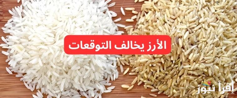 “مفاجأة عريض الحبة” سعر طن الأرز الشعير اليوم الاثنين 3 مارس 2025 والأرز الأبيض داخل الأسواق
