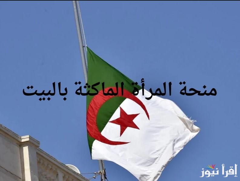فرصة ذهبية للسيدات.. رابط التسجيل في منحة المرأة الماكثة بالبيت بالجزائر 2025 بالخطوات عبر موقع anem.dz