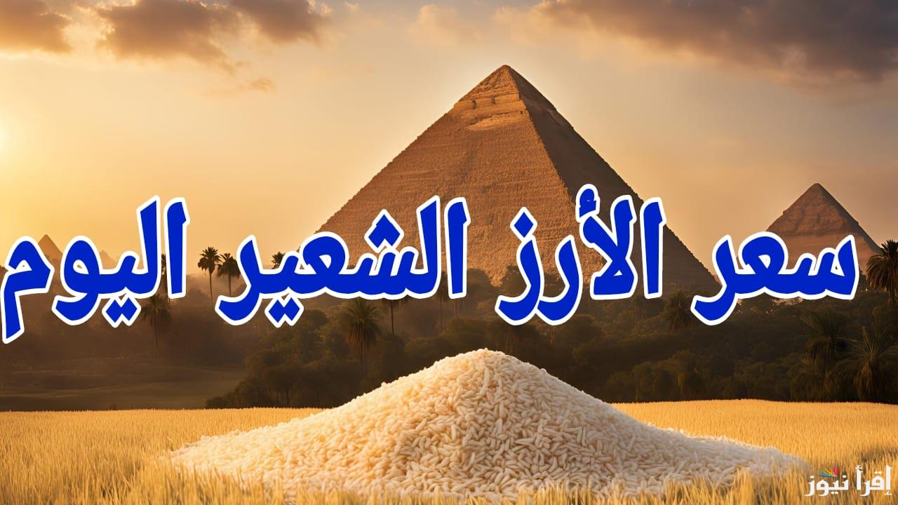 بكام في نصف رمضان.. سعر طن الأرز الشعير الان السبت 15 مارس 2025 في مصر