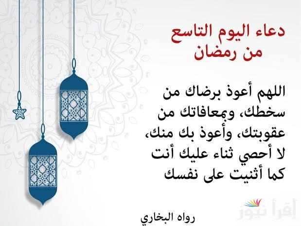 افضل دعاء اليوم التاسع من رمضان 2025 مكتوب وأبرز فضائل الشهر الكريم