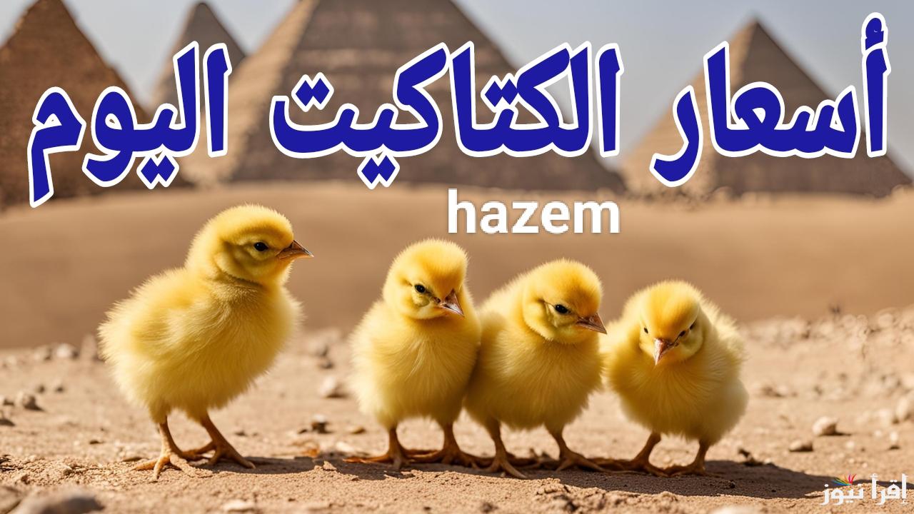 كل يوم بسعر جديد.. أسعار الكتاكيت اليوم الاثنين 3 مارس 2025 في المزارع والمعامل المصرية