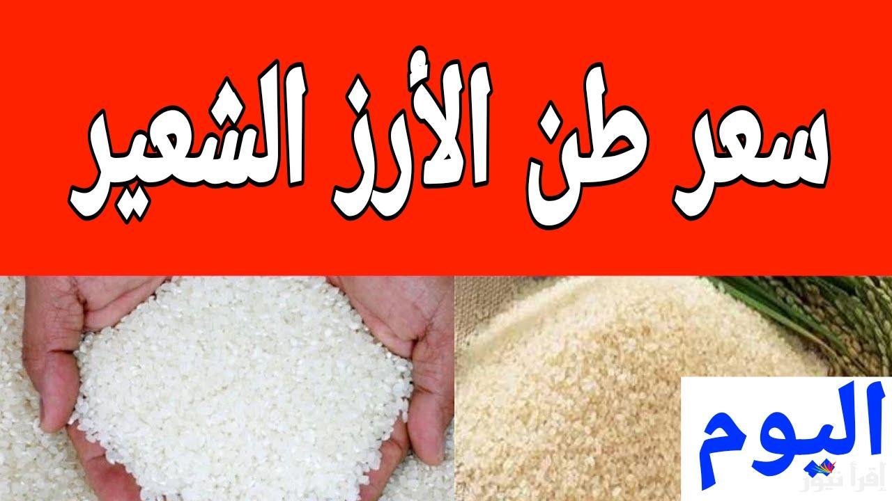 الأسعار خلت التجار في صدمة.. سعر طن الأرز الشعير الان الجمعة 14 مارس 2025 في مصر