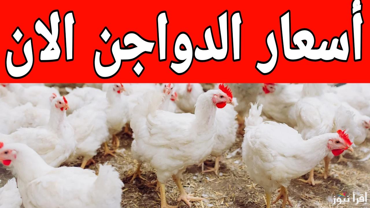 بكام الدواجن البلدي.. سعر كيلو الفراخ البيضاء اليوم في المزارع الاحد 9 مارس 2025