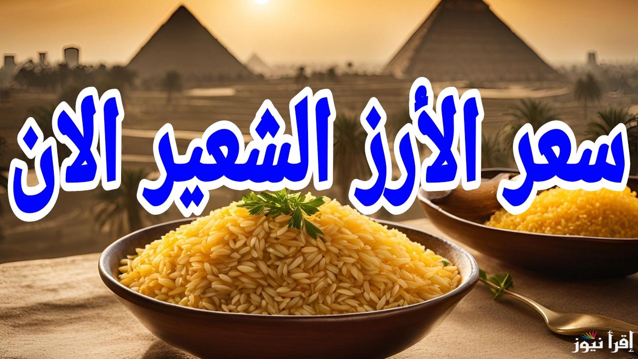 الأسعار مولعة.. سعر طن الأرز الشعير الان الخميس 13 مارس 2025 في مصر