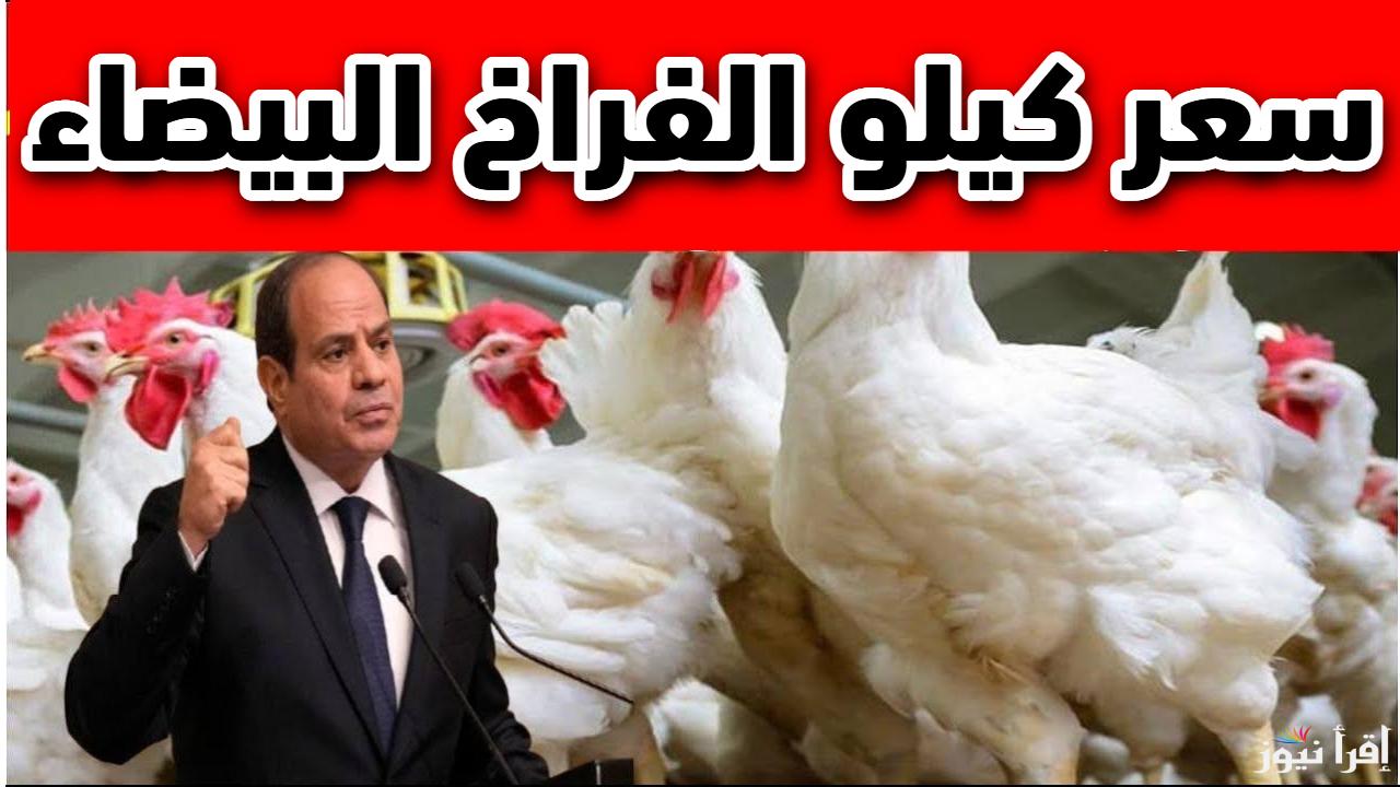 أسعار الدواجن تصدم الجميع.. سعر كيلو الفراخ البيضاء اليوم فى المحلات والمزارع المصرية الاثنين 10 مارس 2025