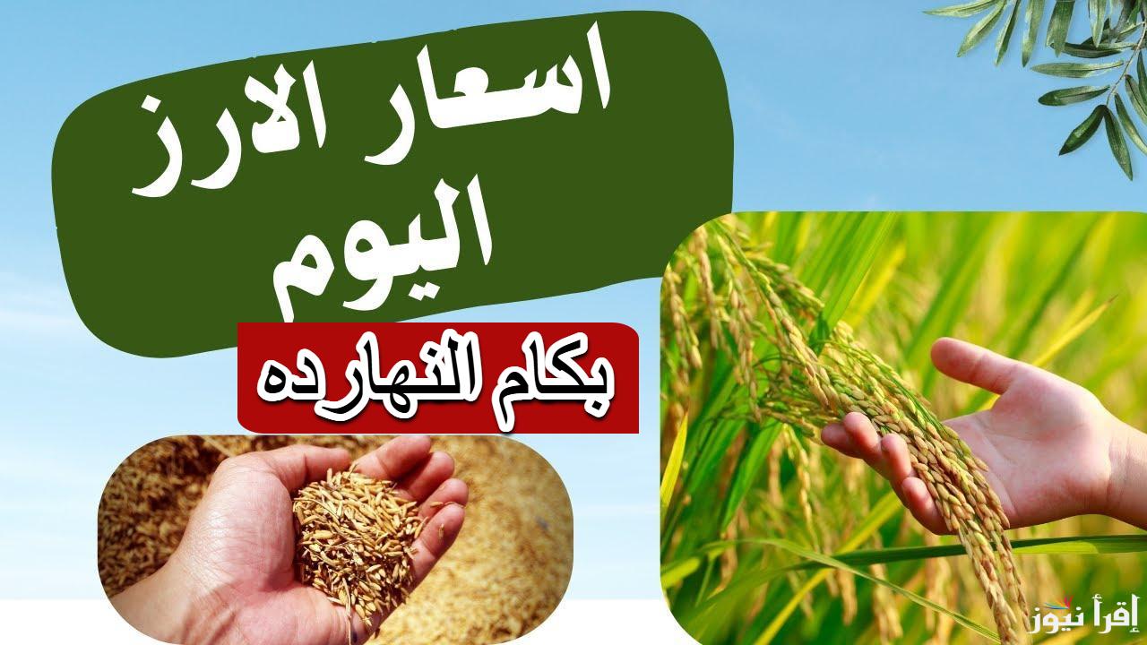 مش هتصدق بكام.. سعر طن الارز الشعير اليوم الجمعة 14 مارس 2025 في مصر